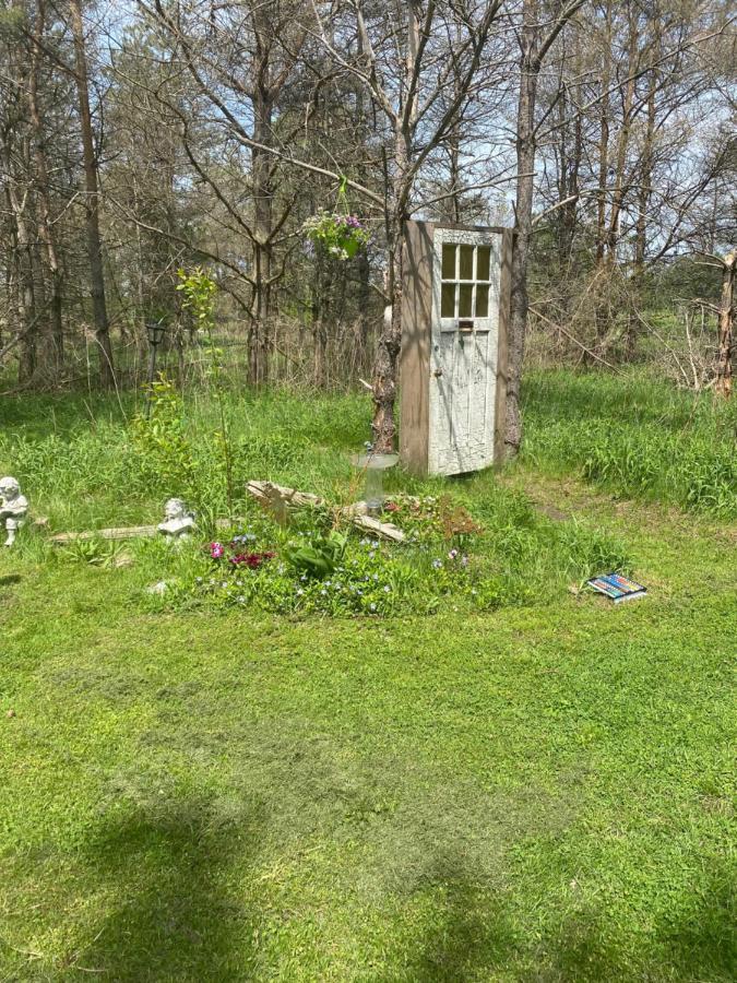 Dreamers Writing Farm, 3 Wooded Acres, Hepworth Sauble Beach Eksteriør billede