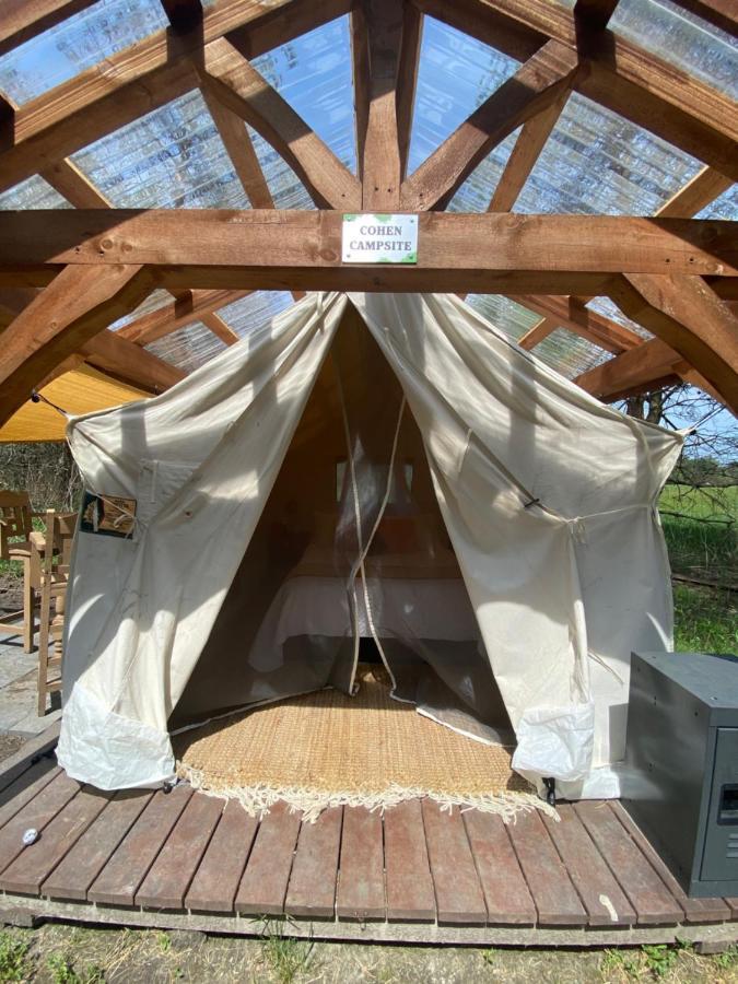 Dreamers Writing Farm, 3 Wooded Acres, Hepworth Sauble Beach Eksteriør billede