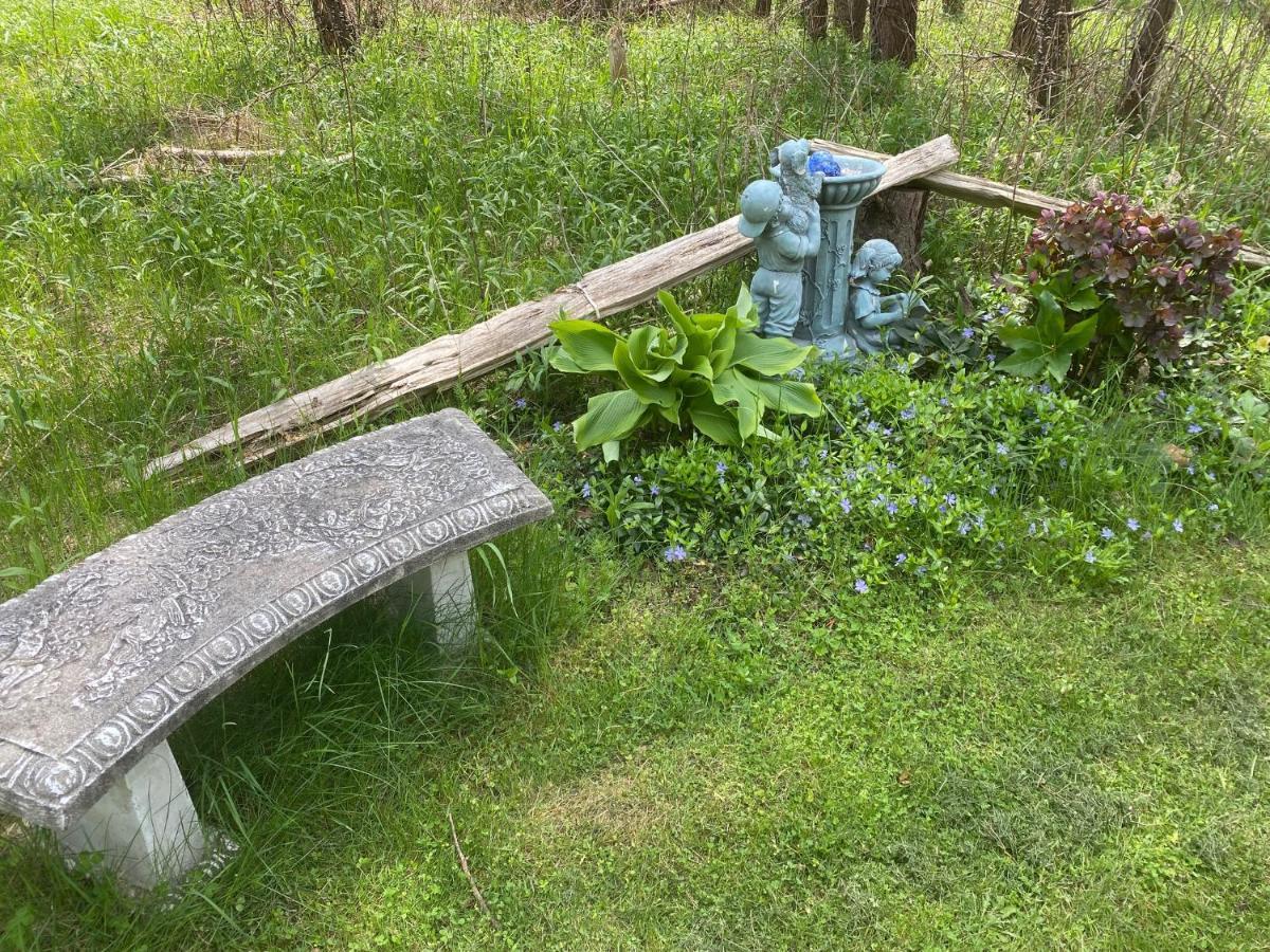 Dreamers Writing Farm, 3 Wooded Acres, Hepworth Sauble Beach Eksteriør billede