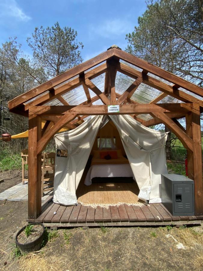 Dreamers Writing Farm, 3 Wooded Acres, Hepworth Sauble Beach Eksteriør billede