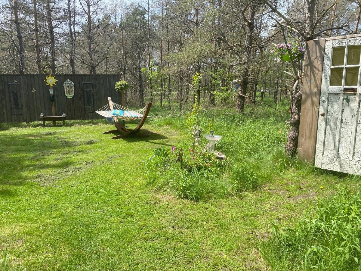 Dreamers Writing Farm, 3 Wooded Acres, Hepworth Sauble Beach Eksteriør billede